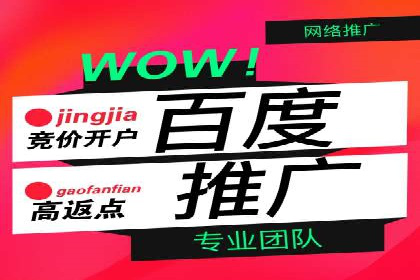 百度推广返点攻略：成功案例分享与启示